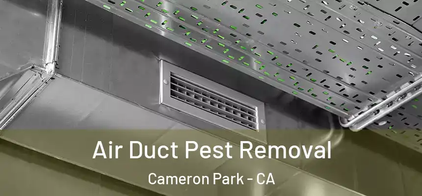  Air Duct Pest Removal Cameron Park - CA