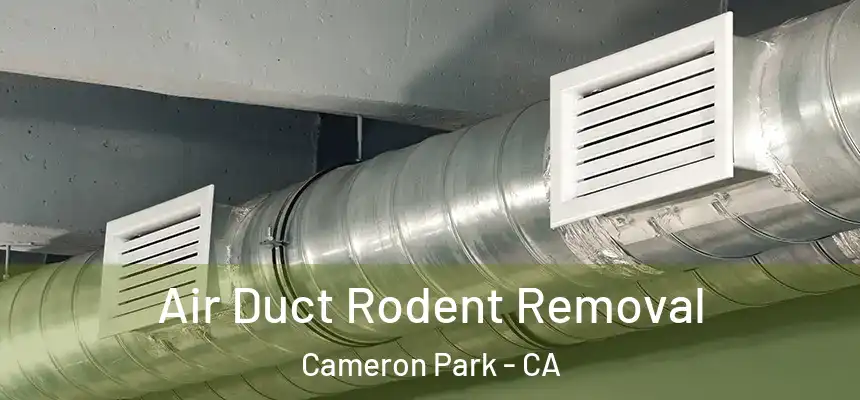  Air Duct Rodent Removal Cameron Park - CA