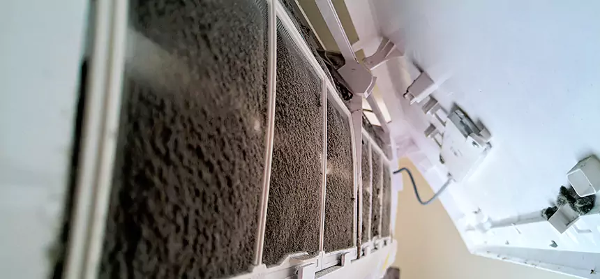 Preventive Air Duct Bacteria Removal in Cameron Park