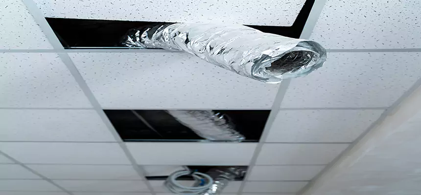 Affordable HVAC Sanitizing After Pest Removal in Cameron Park