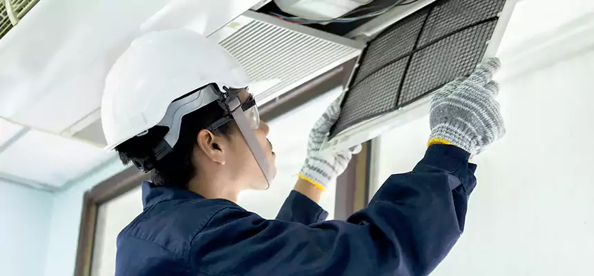 Our Mold & Mildew Removal from Air Ducts Services in Cameron Park, CA