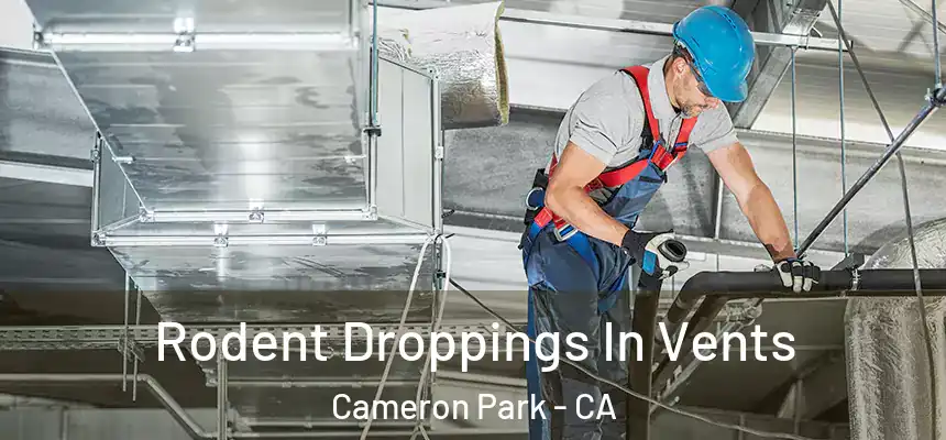  Rodent Droppings In Vents Cameron Park - CA