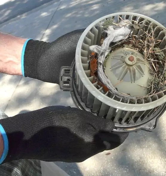 About Air Duct Mice Removal in Cameron Park, CA