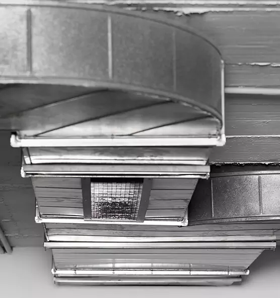 Professional Air Duct Pet Hair Removal in Cameron Park, CA