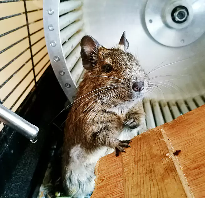 Why Homeowners & Businesses Trust Us Cameron Park, CA