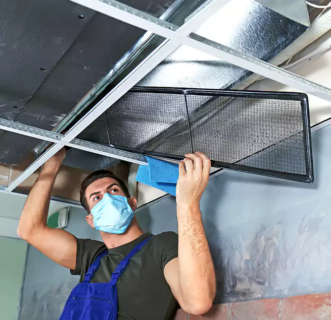 Why Homeowners Businesses Trust Us in Cameron Park, CA