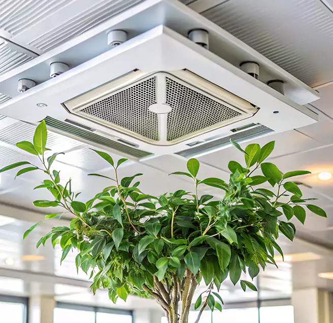 Why Homeowners & Businesses Trust Us in Cameron Park, CA?