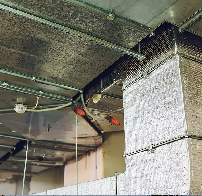 Why Homeowners & Businesses Trust Us Cameron Park, CA?